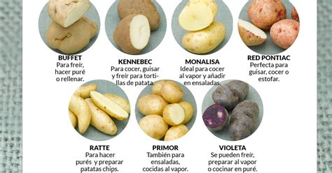 infografía sobre diferentes tipos de papas y sus usos culinarios