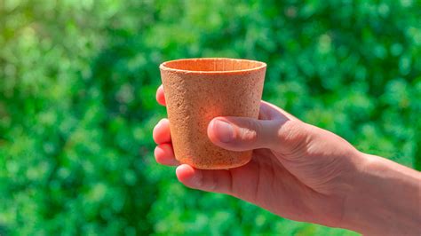 Ejemplos de envases comestibles para diferentes alimentos