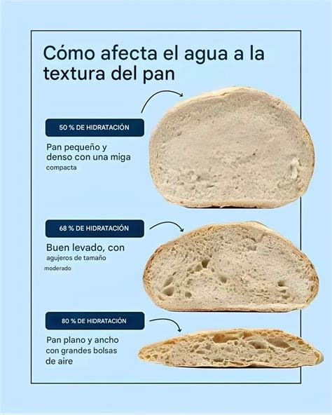 Esquema comparativo: pan fresco vs pan tostado (contenido de agua, textura)