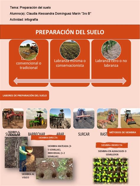 Infografía mostrando la preparación del suelo para la siembra de porotos, incluyendo la adición de compost y la profundidad de siembra.