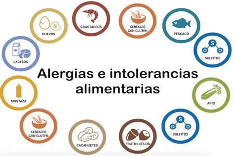 infografía sobre alergias e intolerancias alimentarias comunes