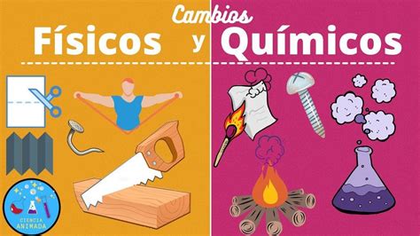Infografía comparando fenómenos físicos (cambio de estado) y cambios químicos (combustión)