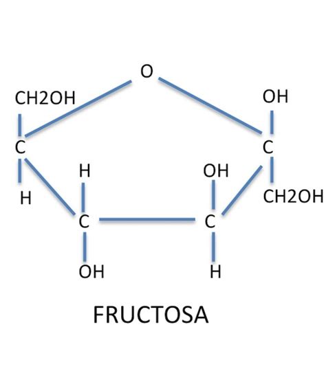 Esquema de la estructura molecular de la fructosa y comparativa con la sacarosa