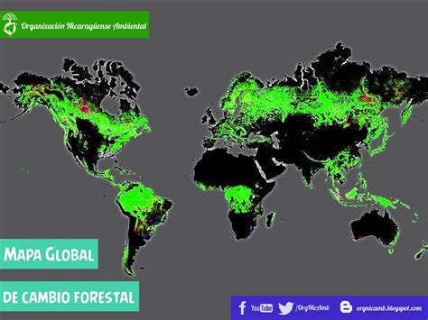 Mapa global que muestra las áreas deforestadas para la ganadería y el cultivo de alimentos para animales.