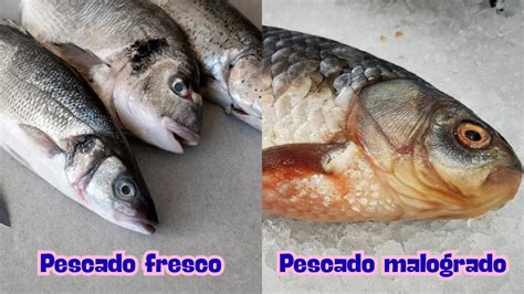 Infografía: cómo reconocer pescado fresco y en mal estado