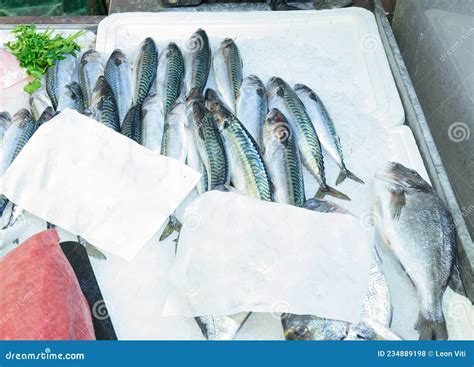 fotografía de jurel fresco en un mercado