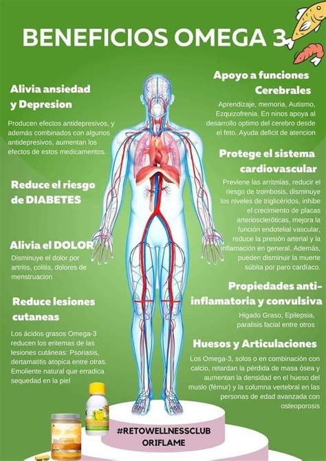 diagrama que ilustra los beneficios del omega-3 para el cerebro, corazón y sistema inmune