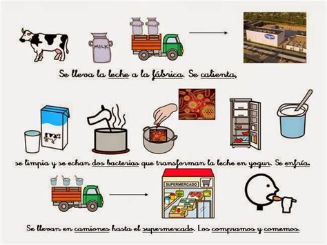 Esquema del proceso de fermentación: de la leche al yogur natural mediante el uso de cultivos vivos.