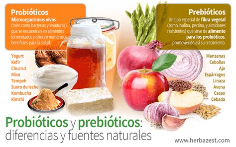 Infografía: beneficios del encurtido (probióticos, antioxidantes, pocas calorías)
