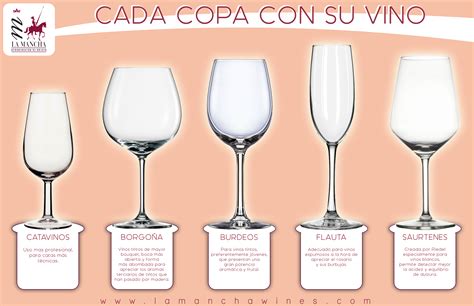 Diferentes tipos de copas adecuadas para servir un St-Germain Spritz, incluyendo una copa de vino grande y una copa alta