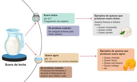 Diagrama de las aplicaciones industriales del suero de leche