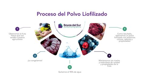 Esquema explicativo del proceso de liofilización aplicado a mariscos y vegetales para sopas instantáneas.