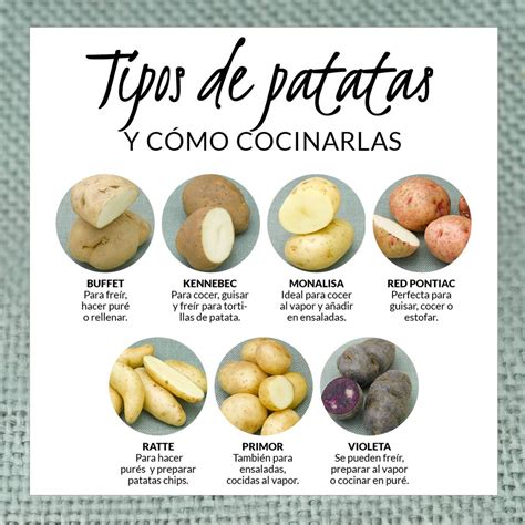 Infografía comparativa de diferentes tipos de patatas y tubérculos utilizados como guarnición, mostrando su textura y color.
