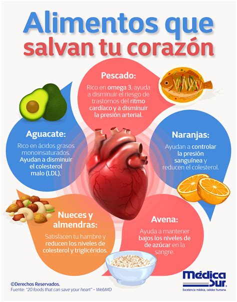 Corazón sano y alimentos beneficiosos para la salud cardiovascular