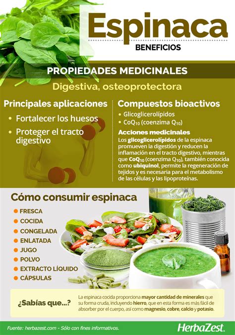 Infografía comparativa: perfil nutricional de la espinaca cruda frente a la cocida y los beneficios de cada método.