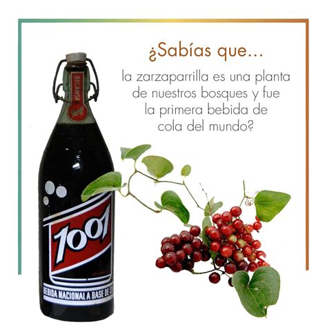 Botellas de Root Beer y bebida de Zarzaparrilla, con las raíces de Smilax al fondo