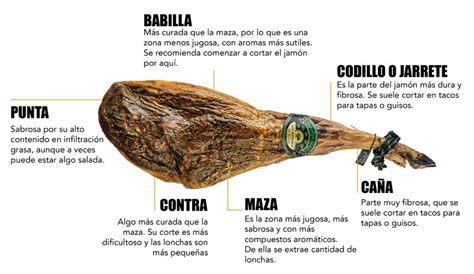 Esquema de las partes de un jamón y su corte ideal