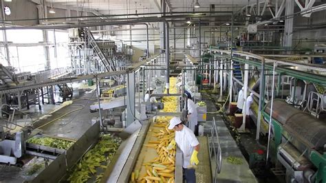 Maquinaria industrial en una fábrica de alimentos para producción de mayonesa