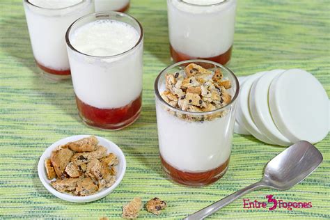 Vaso con capas de yogur natural y mermelada casera