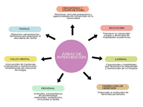 Esquema de las áreas de intervención de un programa de apoyo domiciliario