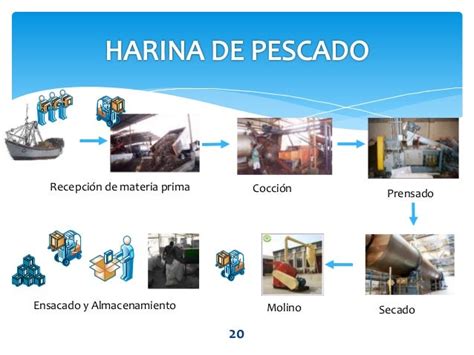 Fotografía de barcos pesqueros descargando pescado en una planta de harina de pescado