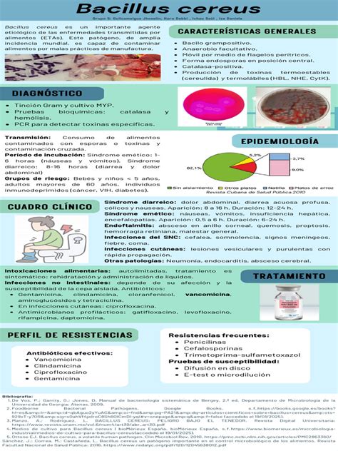 Infografía: Proliferación de Bacillus cereus en el arroz según temperatura y tiempo