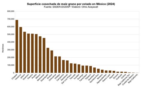 gráfico de barras mostrando la superficie sembrada de maíz en Chile en las últimas décadas
