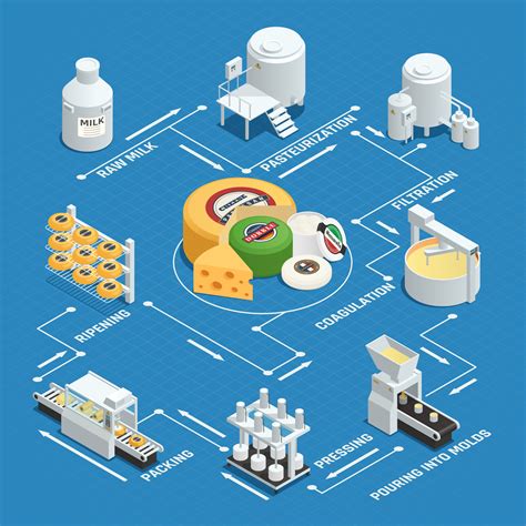 Esquema del proceso de producción de queso mozzarella