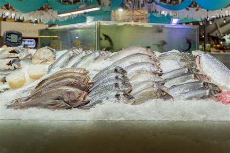 Ilustración de un antiguo mercado de pescado con hielo para la conservación
