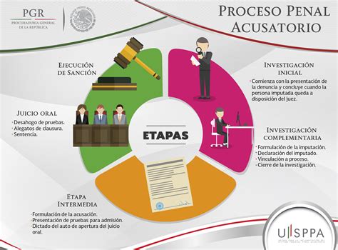 Esquema de las etapas y flujo de la audiencia preparatoria de medidas de protección.