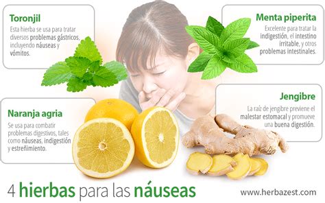 Infografía comparativa de remedios naturales para las náuseas.