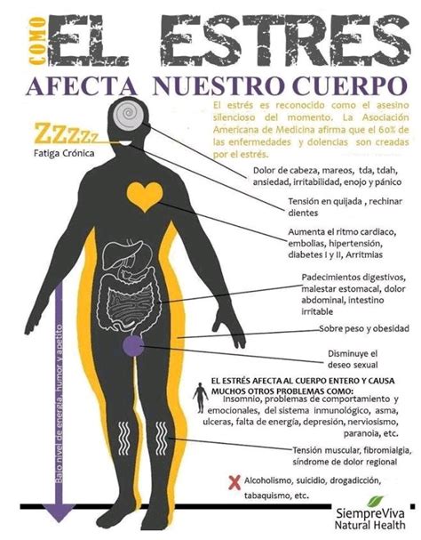 Infografía que muestra el impacto del estrés en el cuerpo y los beneficios de la respuesta de relajación