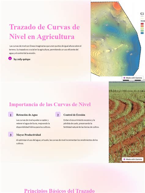 Infografía del proceso de trazado de curvas de nivel y trasplante artesanal en arrozales.