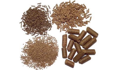 Imagen de pellets de alimento para salmón