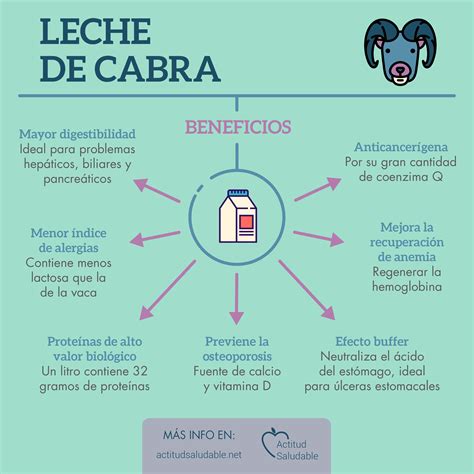 Infografía sobre los beneficios de la leche de cabra para la piel o imagen de ingredientes naturales