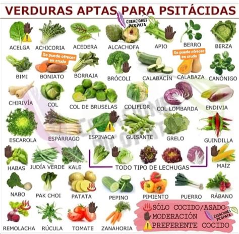 Gráfico comparativo de verduras aptas y no aptas para el envasado al vacío