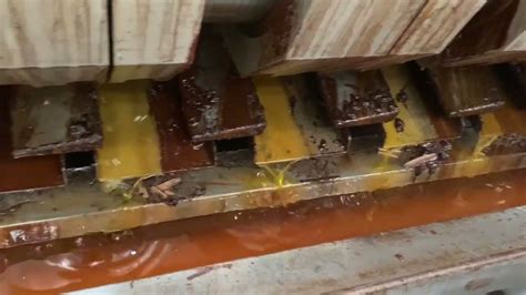 Proceso de obtención de manteca de cacao para chocolate