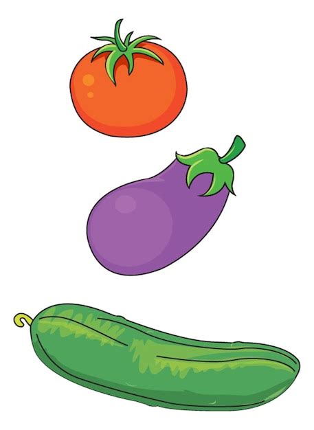 Varias frutas botánicas (tomate, pepino, calabaza, berenjena, pimiento) comúnmente usadas como verduras