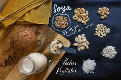 Ilustración mostrando los pasos básicos para hacer leche de soya casera.