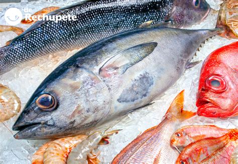 Fotografía de diferentes tipos de pescado utilizados para la producción de harina