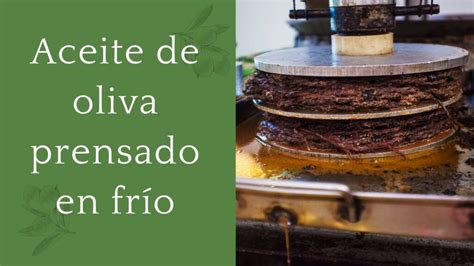 Infografía: Diferencias entre aceites prensados en frío y refinados
