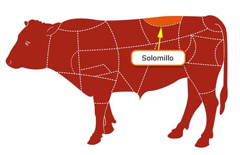 Esquema anatómico del vacuno destacando la ubicación del solomillo en la zona lumbar