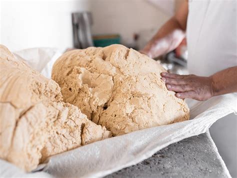 Foto: Masa de tortilla en proceso de amasado