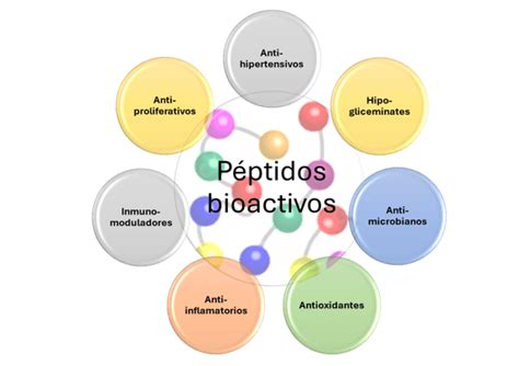 Ilustración de péptidos bioactivos derivados de pescado