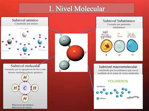 Esquema de la estructura del merengue a nivel molecular