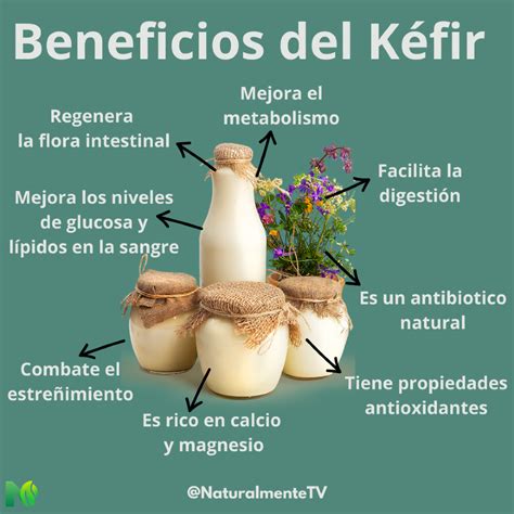 Infografía detallada sobre los beneficios del consumo de kéfir para la salud digestiva e inmunológica