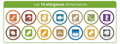 Infografía sobre los 14 alérgenos principales y cómo prevenir la contaminación cruzada en la cocina