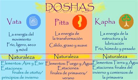 Infografía sobre los doshas ayurvédicos