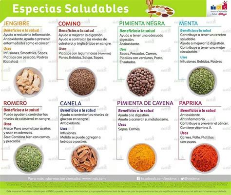 Esquema comparativo entre hierbas y especias culinarias, mostrando sus partes y usos.