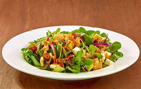 Plato de ensalada con verdolagas frescas